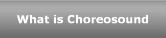 What is Choreosound