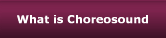 What is Choreosound