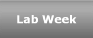 Lab Week