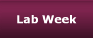 Lab Week